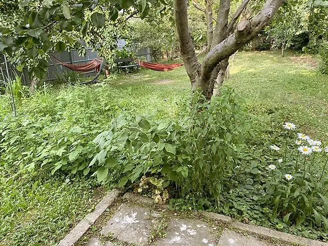 Country House Tabakhmela Tbilisi Holiday home